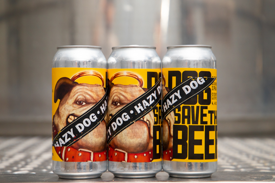 HAZY DOG